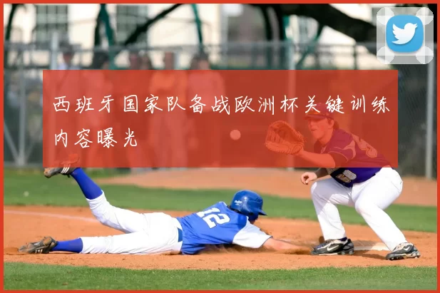 西班牙国家队备战欧洲杯关键训练内容曝光