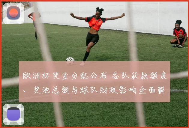 欧洲杯奖金分配公布 各队获款额度、奖池总额与球队财政影响全面解读