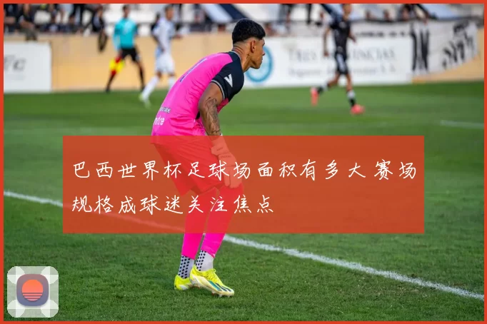 巴西世界杯足球场面积有多大 赛场规格成球迷关注焦点