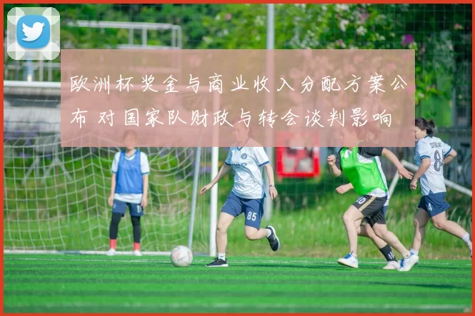 欧洲杯奖金与商业收入分配方案公布 对国家队财政与转会谈判影响