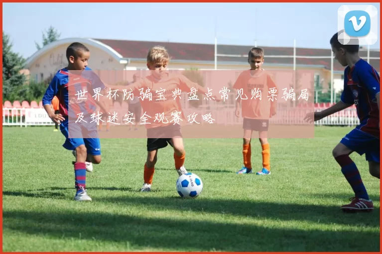 世界杯防骗宝典盘点常见购票骗局及球迷安全观赛攻略