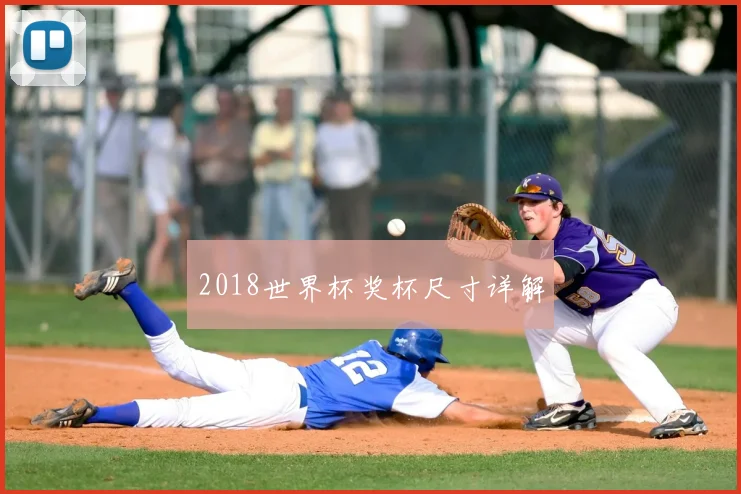 2018世界杯奖杯尺寸详解