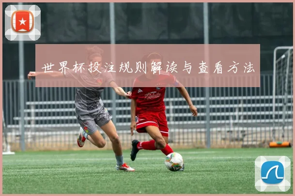 世界杯投注规则解读与查看方法