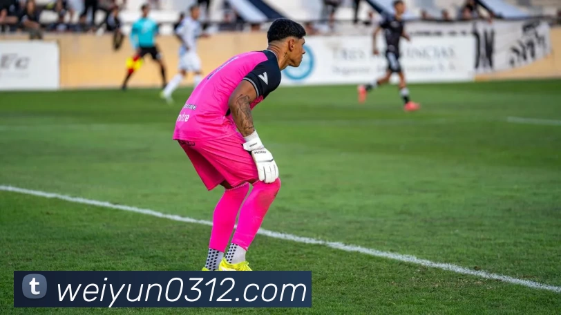 彩神(中国官方网站)官方服务中心APP 封面图